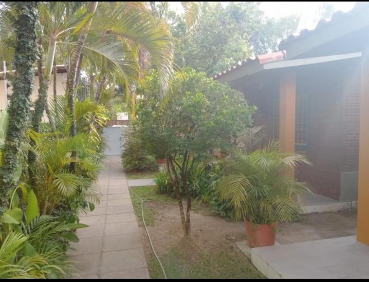 Prive Das Acacias Pôrto das Galinhas Buitenkant foto